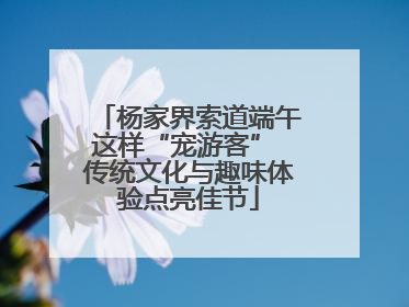 杨家界索道端午这样“宠游客” 传统文化与趣味体验点亮佳节
